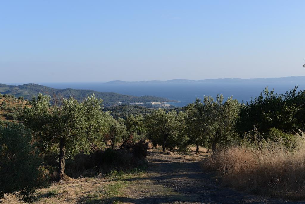 Ξενώνας Παρθενών της κυρά Βαγγελιώς Παρθενώνας Εξωτερικό φωτογραφία